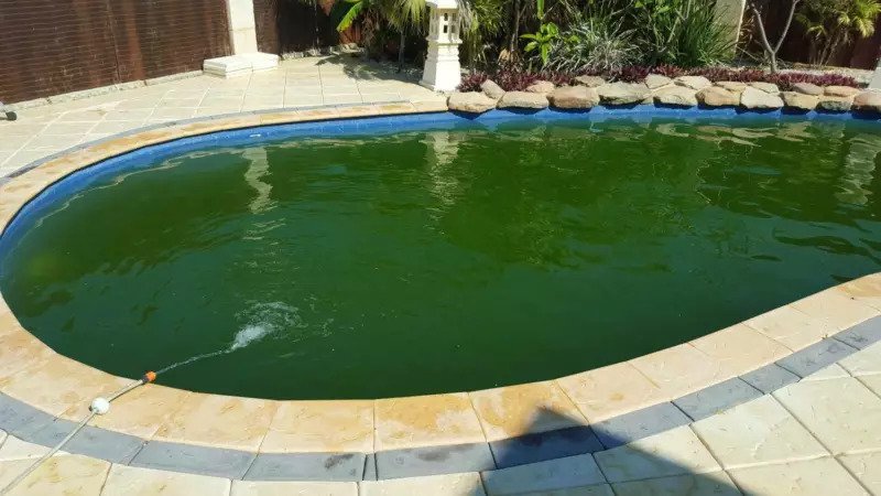 Green pool before cleaning